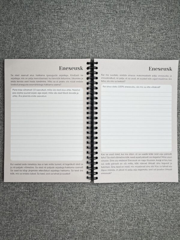 Enesearmastusepäevik - Image 3