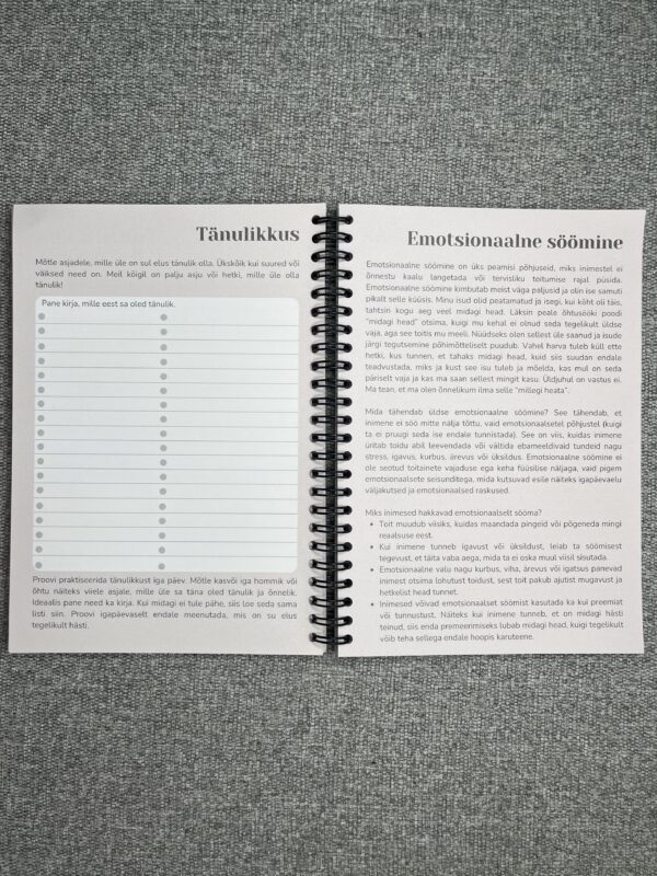 Enesearmastusepäevik - Image 7